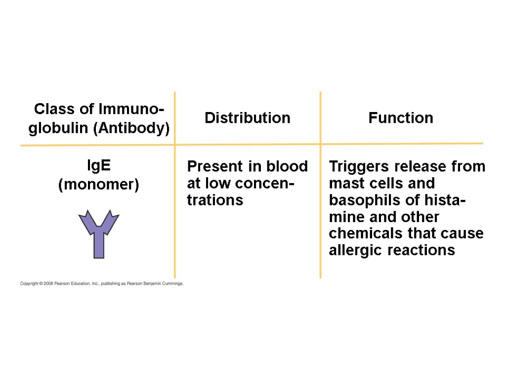 Distribution Function Class of Immuno- globulin (Antibody) IgE (monomer) Present in blood at low